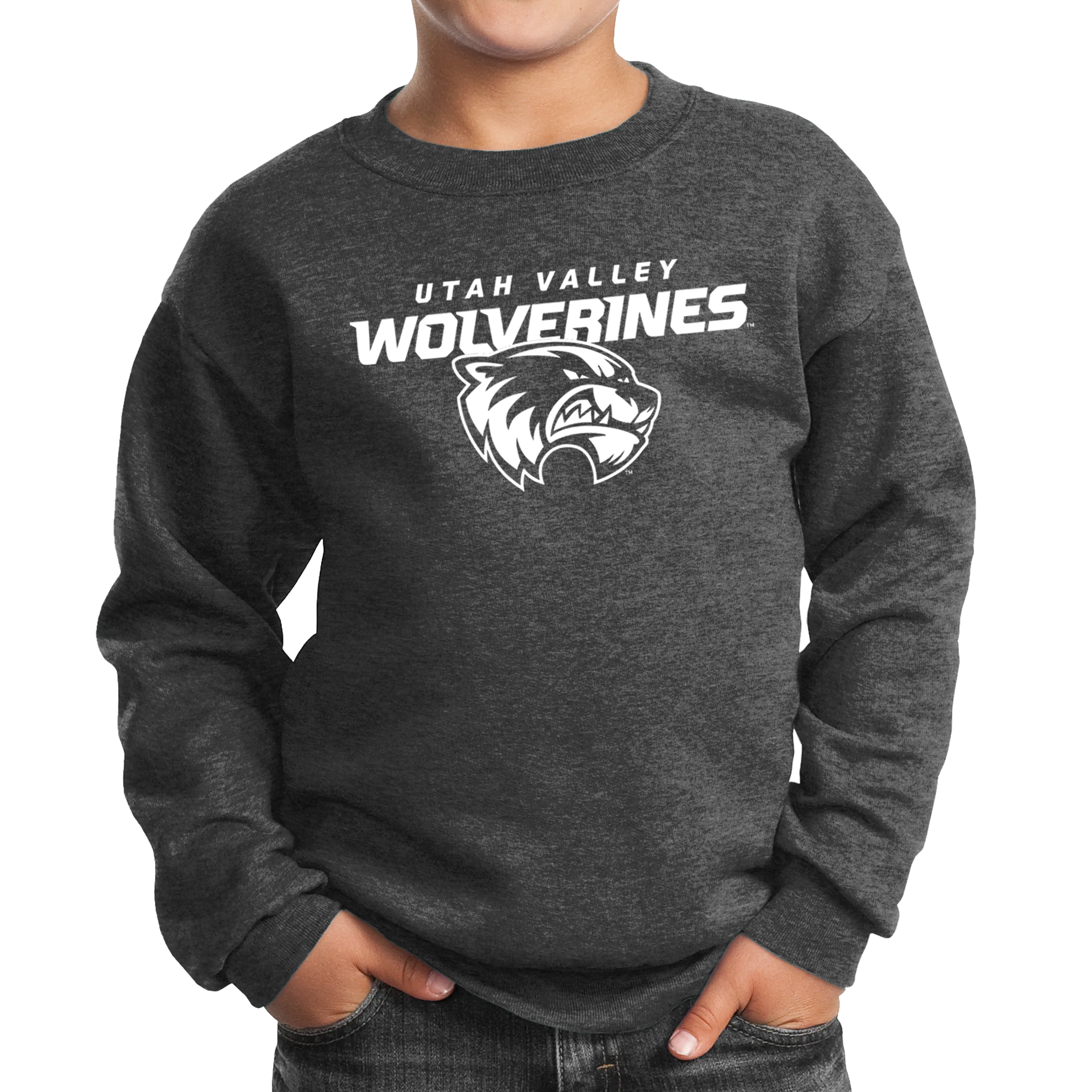 Port & Company Youth Core Fleece Crewneck Sweatshirt- Combo Under Wolverines