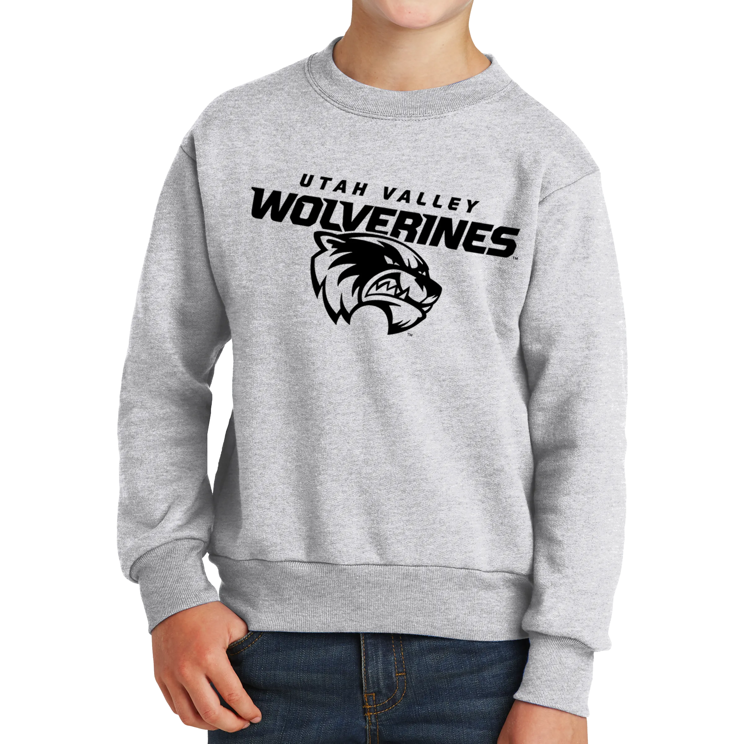 Port & Company Youth Core Fleece Crewneck Sweatshirt- Combo Under Wolverines