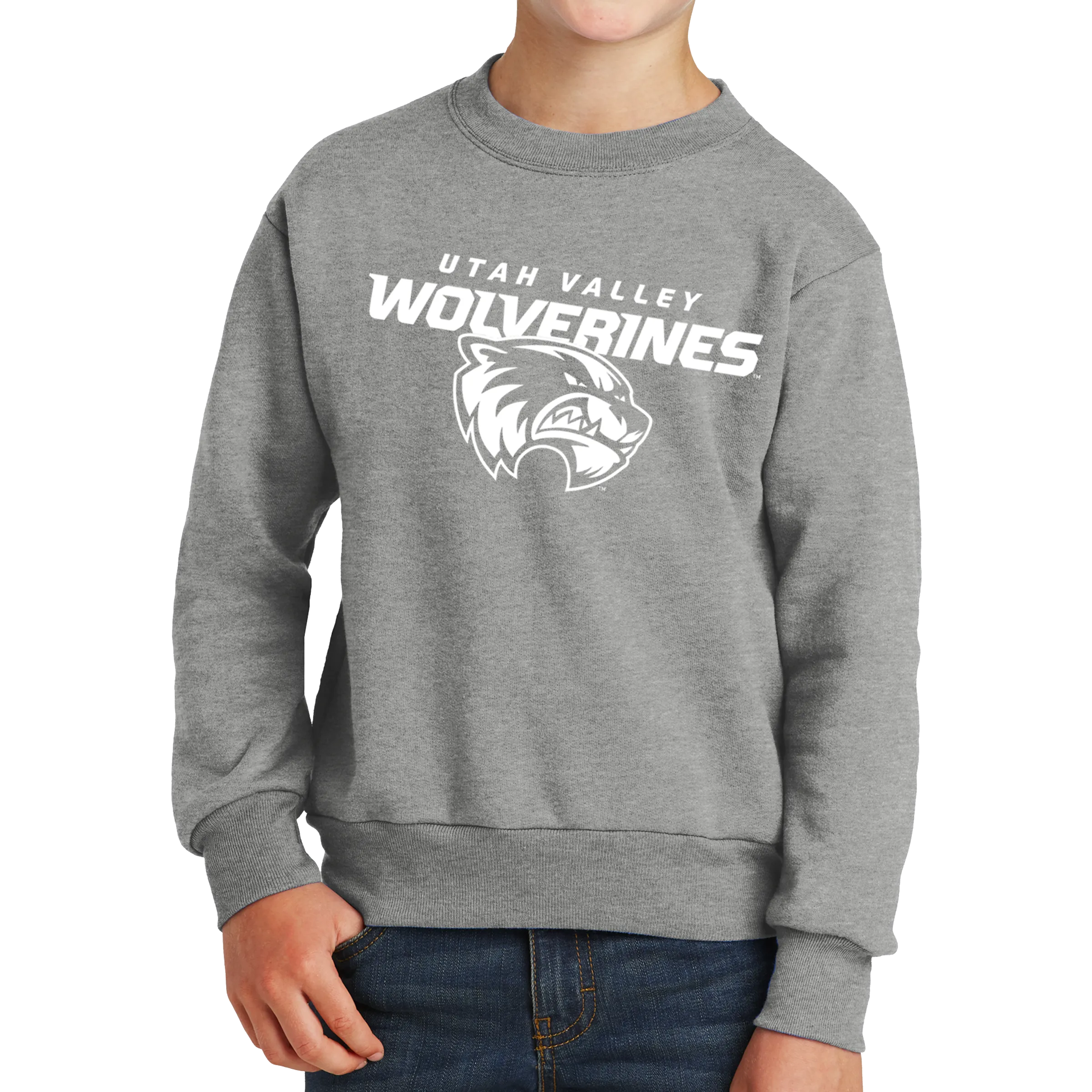 Port & Company Youth Core Fleece Crewneck Sweatshirt- Combo Under Wolverines