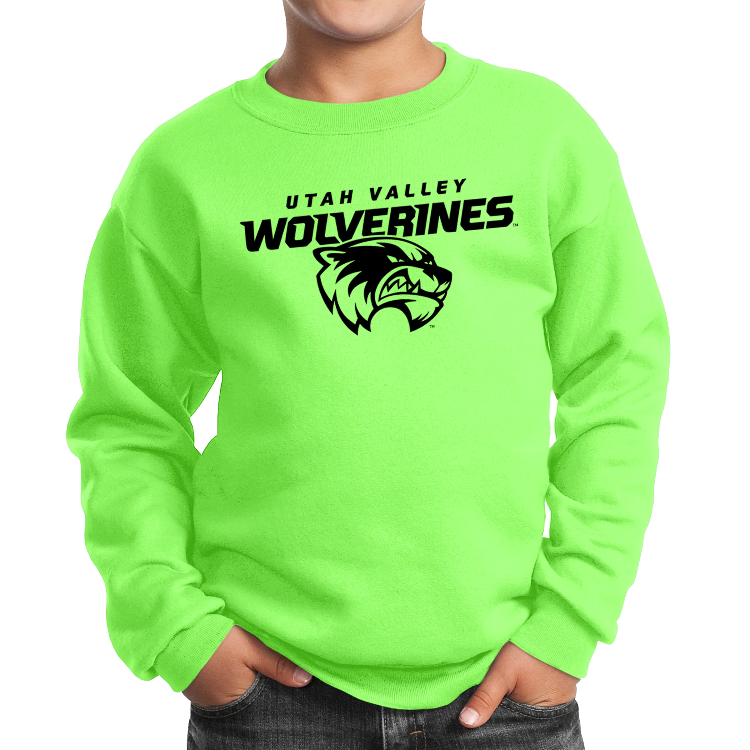 Port & Company Youth Core Fleece Crewneck Sweatshirt- Combo Under Wolverines