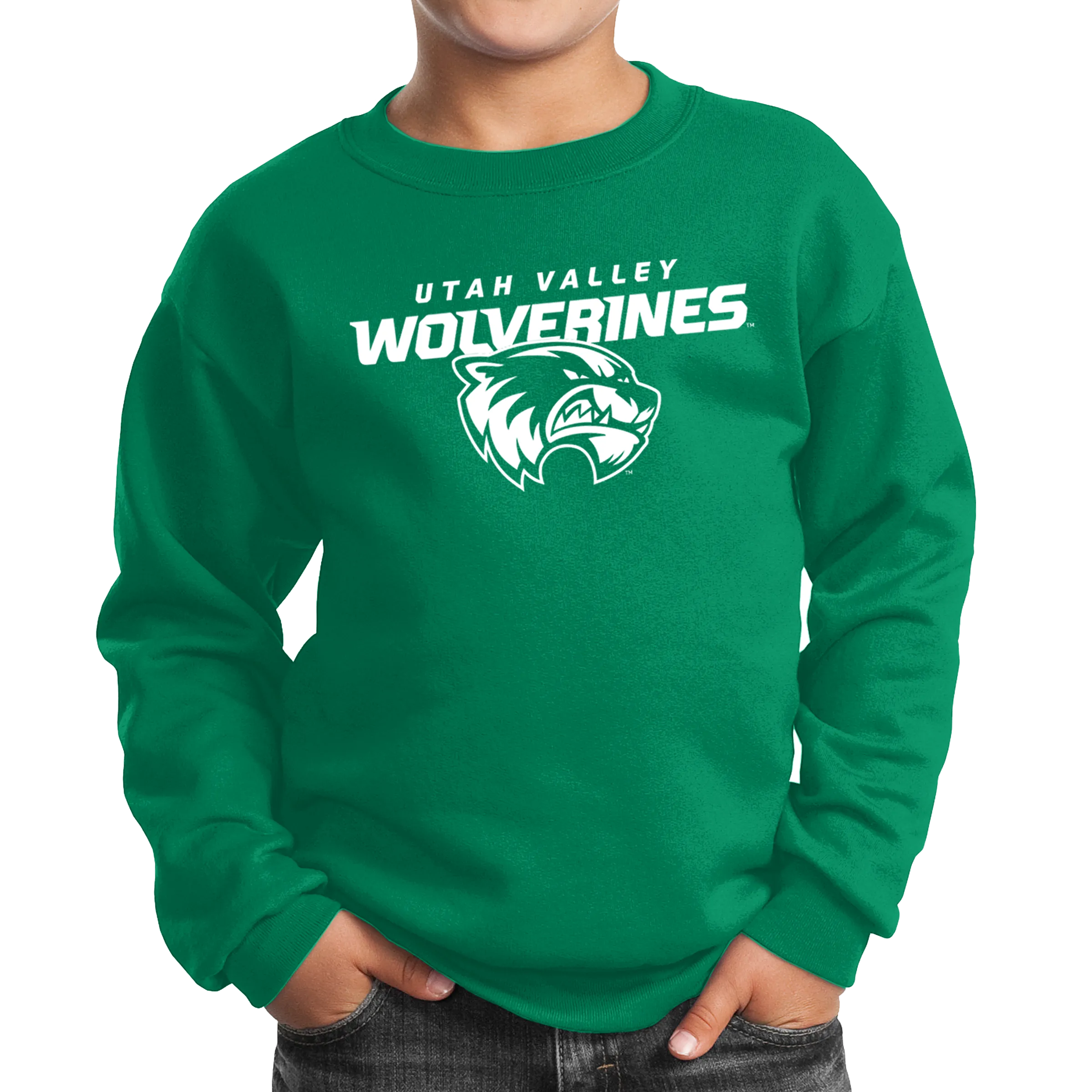 Port & Company Youth Core Fleece Crewneck Sweatshirt- Combo Under Wolverines